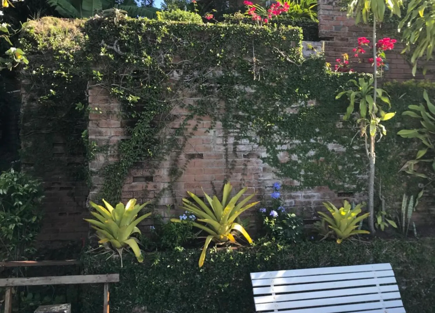 Bed and Breakfast Tranquility Estate Kingston
