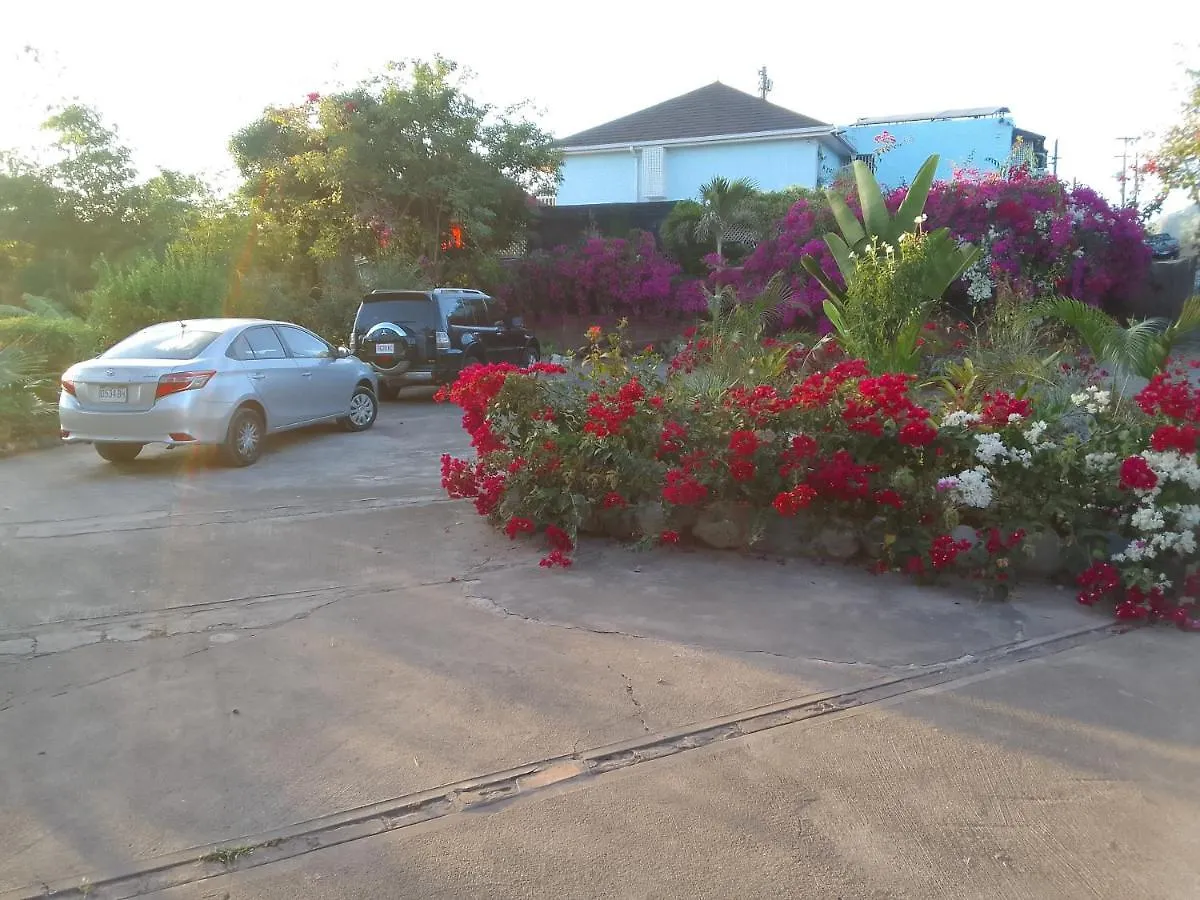 Bed and Breakfast Tranquility Estate Kingston