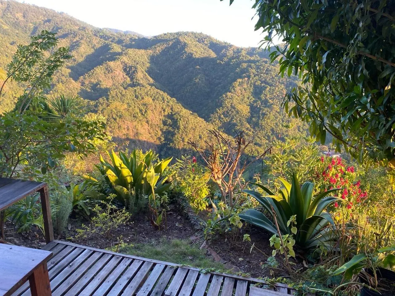 Bed & Breakfast Bed and Breakfast Tranquility Estate Kingston