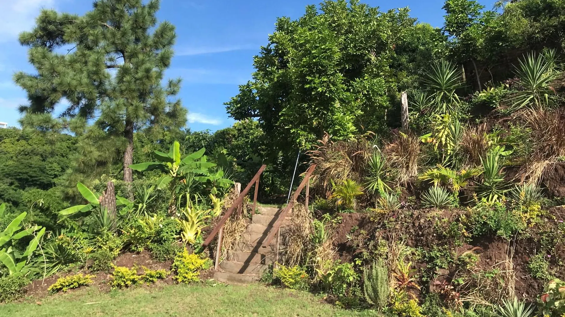 Bed & Breakfast Bed and Breakfast Tranquility Estate Kingston