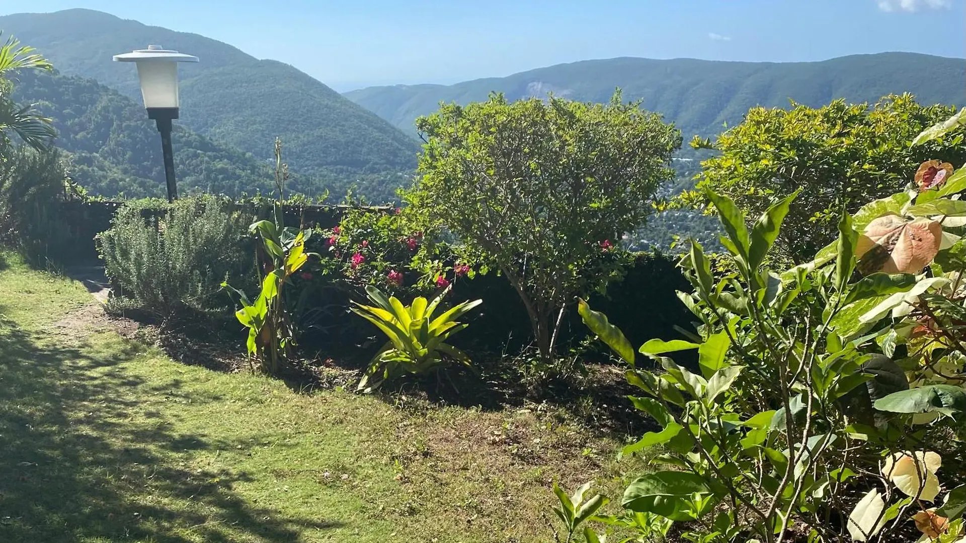 Bed and Breakfast Tranquility Estate Kingston Giamaica