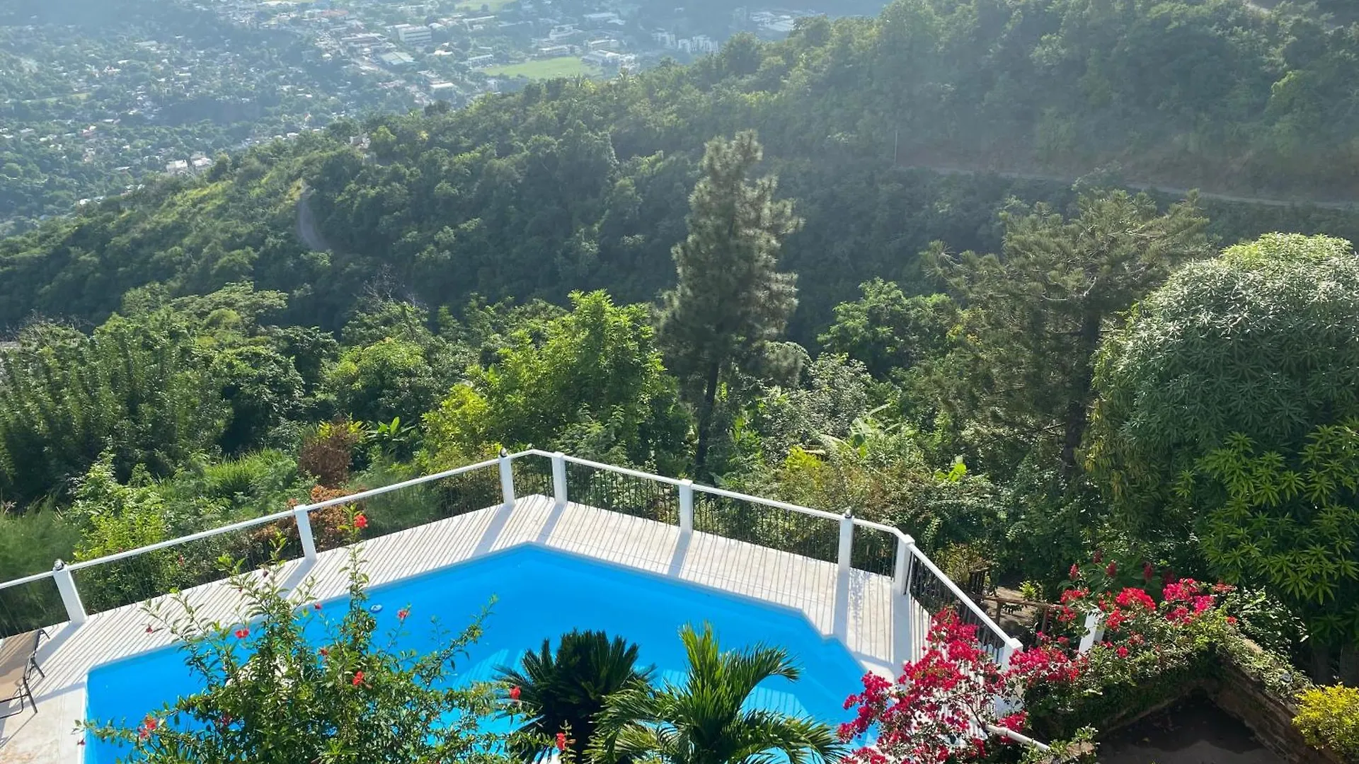 Bed and Breakfast Tranquility Estate Kingston Giamaica